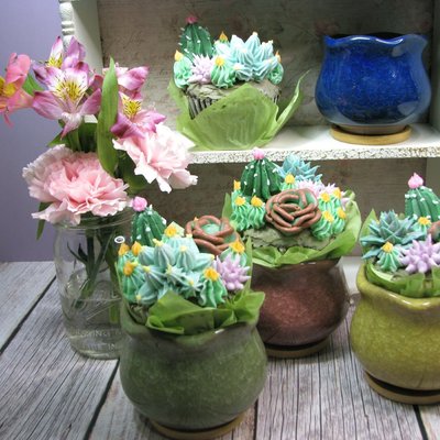 Succulents In A Ceramic Pot