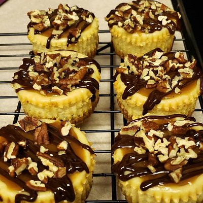 Turtle Mini Cheesecake 