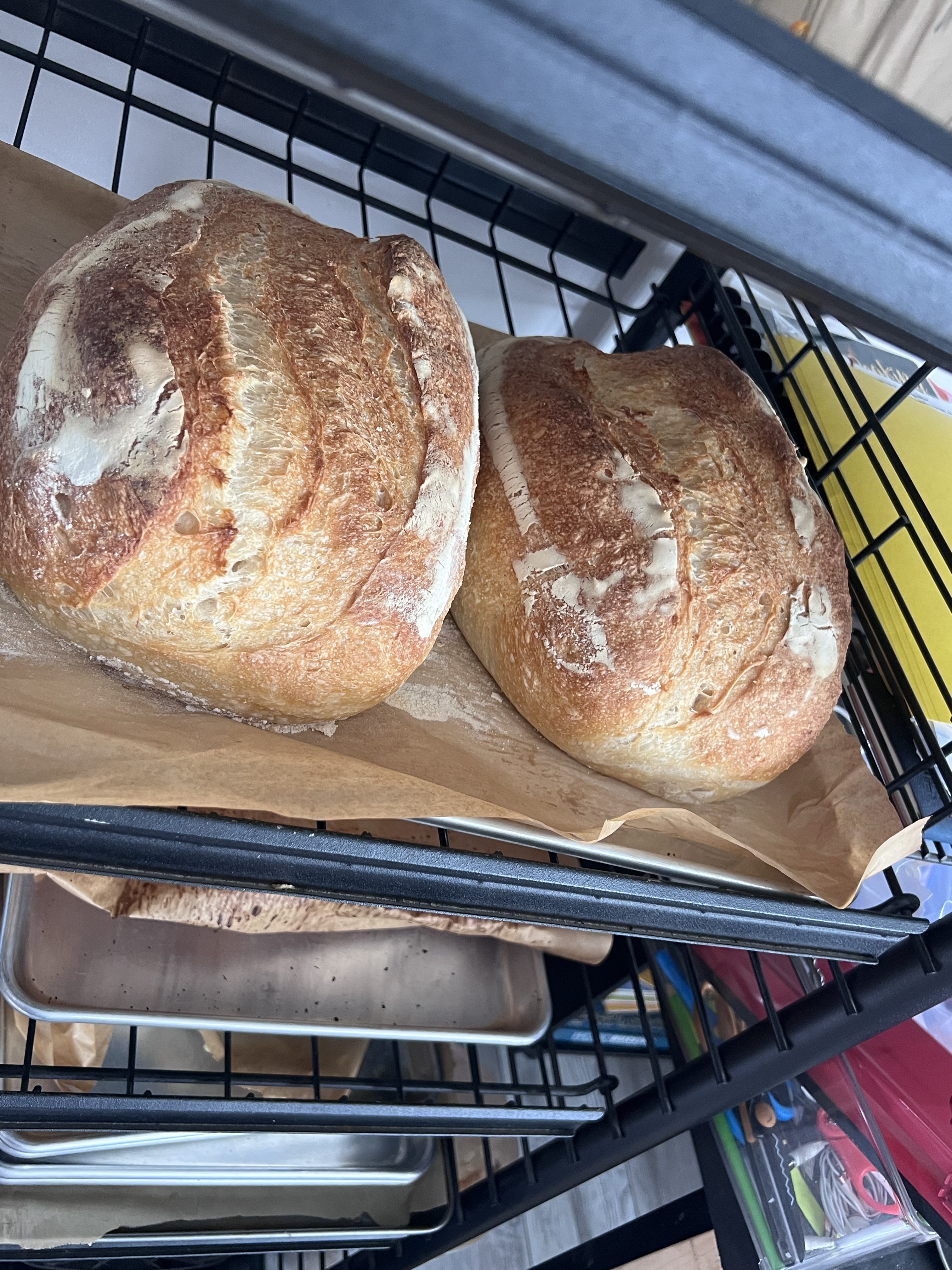 Full-size Artisan Sourdough Loaves 