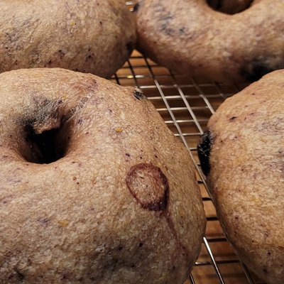 Blueberry Bagels (4)
