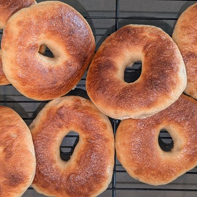 Sourdough Bagels: Plain - Half Dozen 