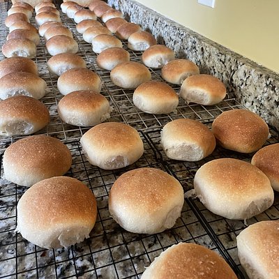 Plain Burger Buns