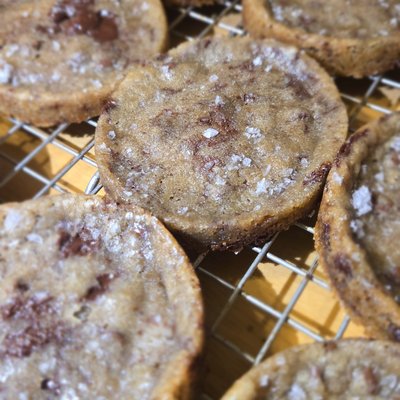 Bold Bite Choco Chip