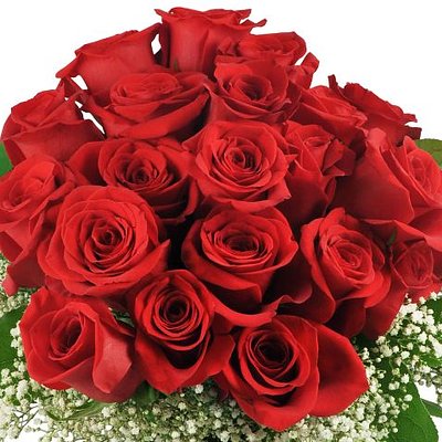 2 Dozen Roses Bouquet 