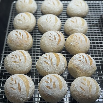 Sourdough Dinner Rolls