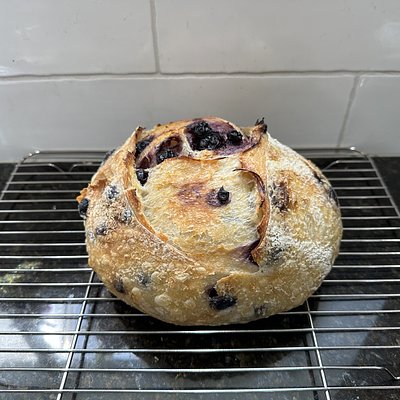 Blueberry Lemon Sourdough 