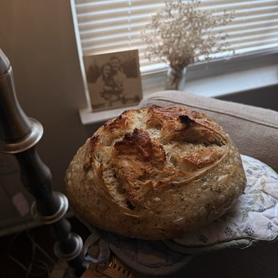 Sourdough Loaf (plain)