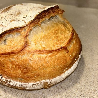 Plain Sourdough Artisan Loaf 