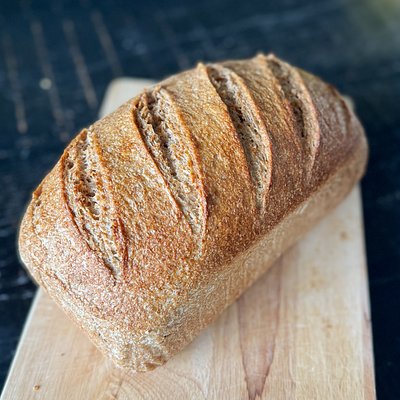 Whole Wheat Sourdough Sandwich Loaf