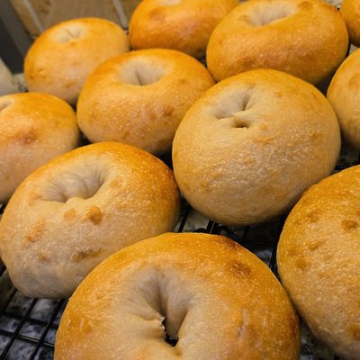 Original Sourdough Bagels