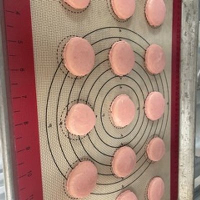 Macarons By The Dozen ( Seasonal Flavors)