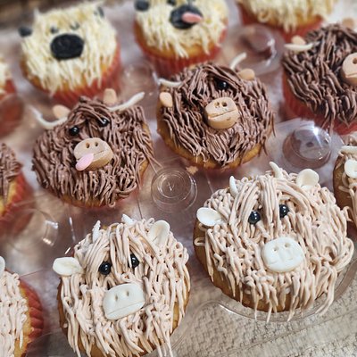 Custom Cupcake Order