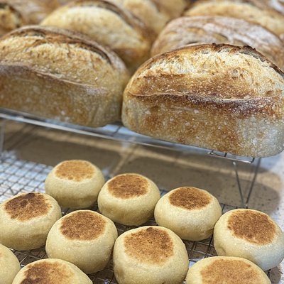 Sourdough English Muffins 