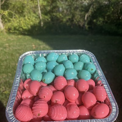 Large Candied Grapes 