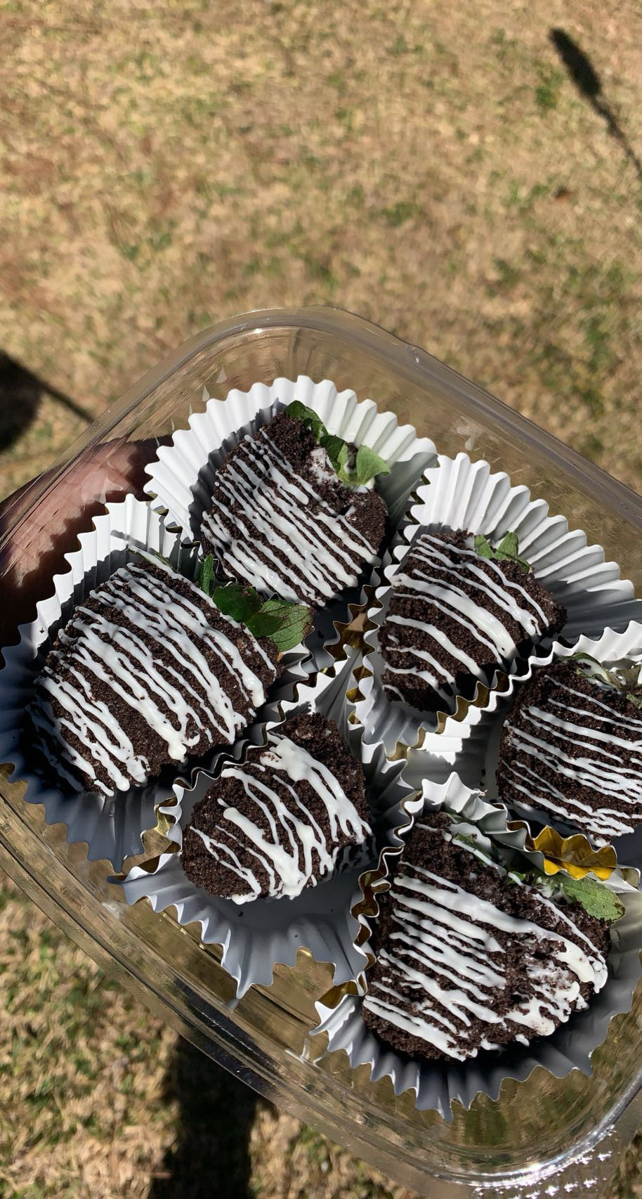 Oreo Crunch Berries Half Dozen