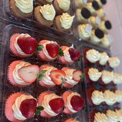 Cupcakes 