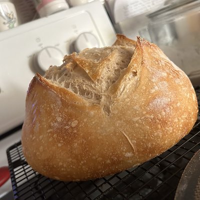 Plain Loaf 
