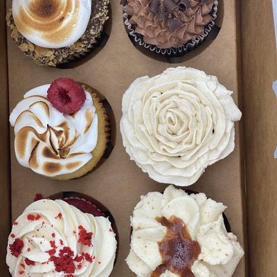 Cupcake 6pk