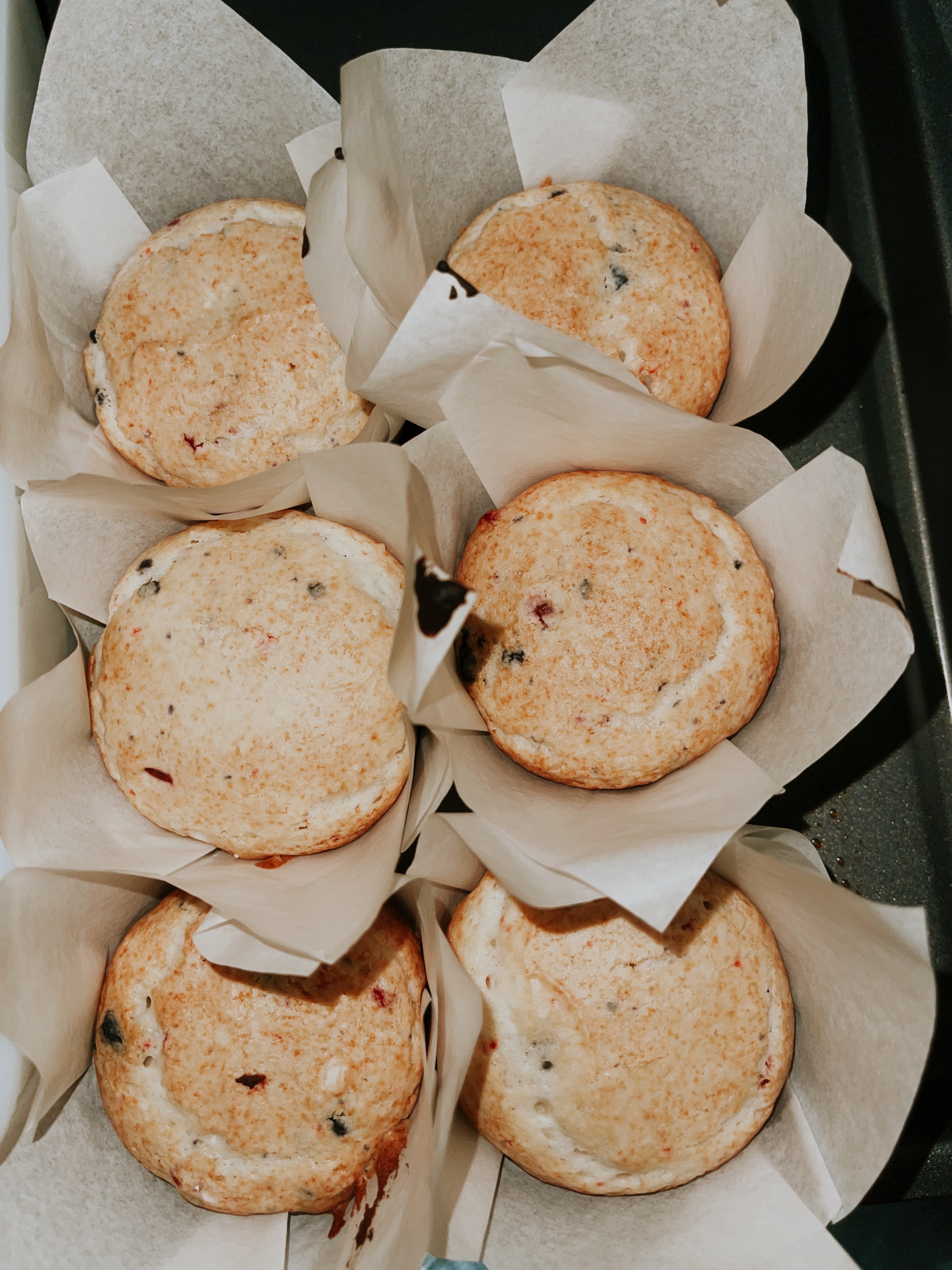 Wild berry Muffins