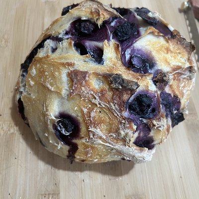 Blueberry Sourdough