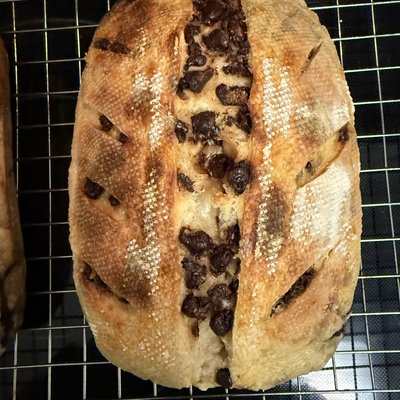 Chocolate Chip Sourdough