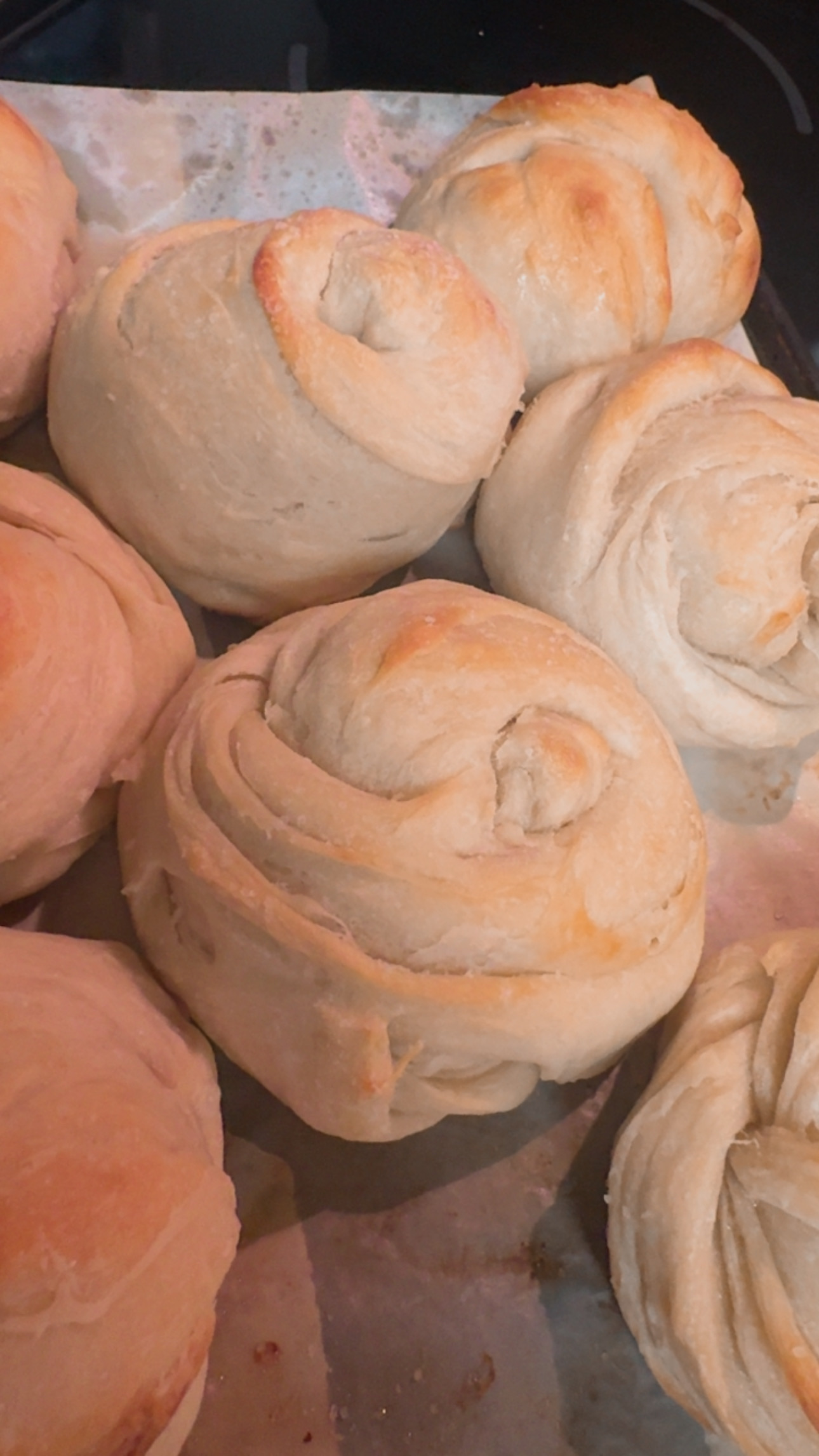 Sourdough Rolls 