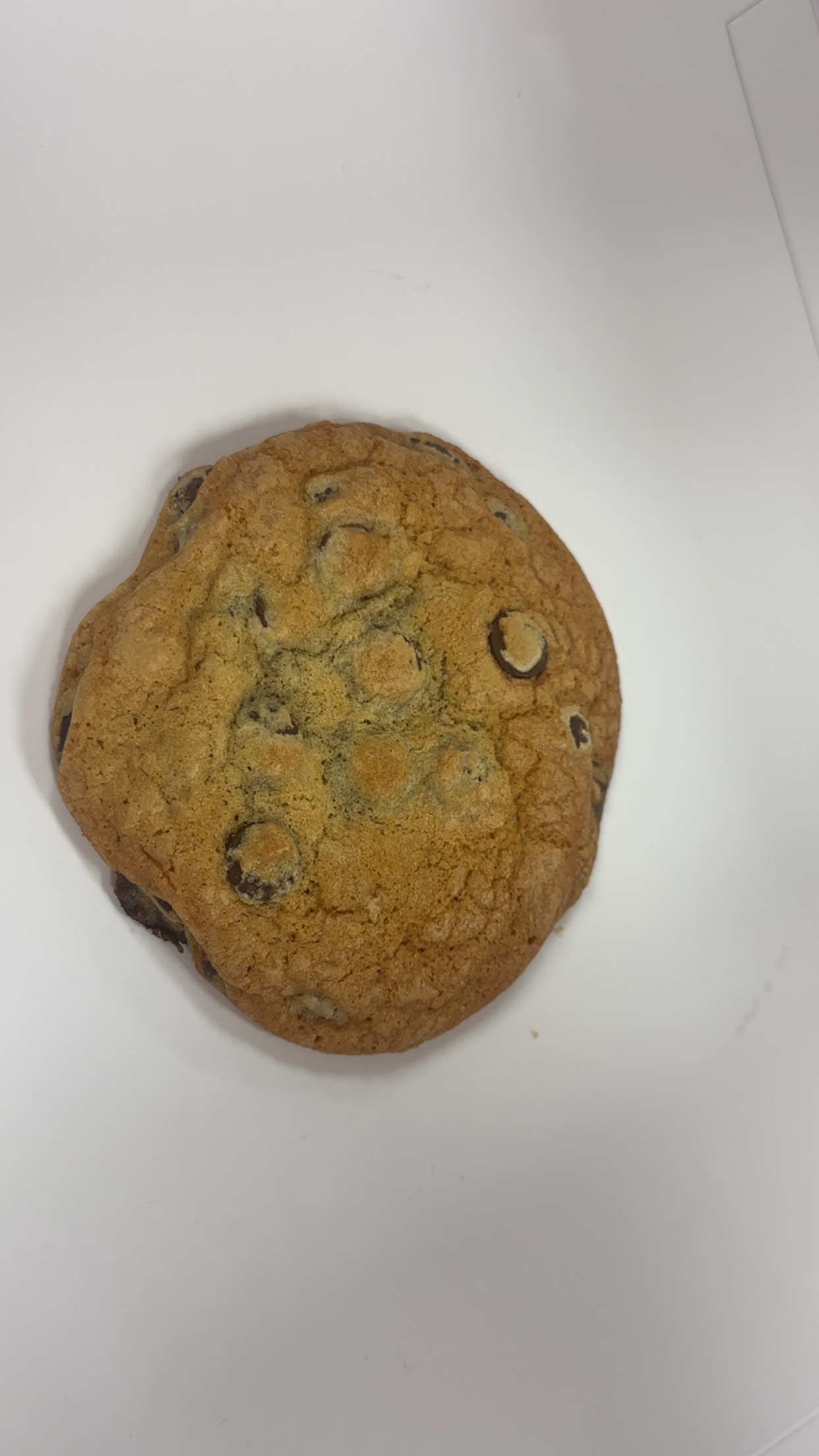 Chocolate Chip 6 Piece