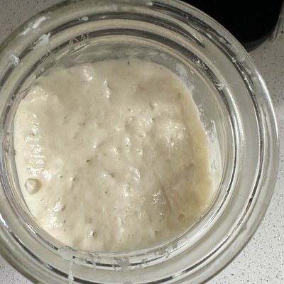 Sourdough Starter Kit 