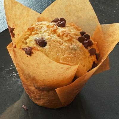 Chocolate Chip Muffin 