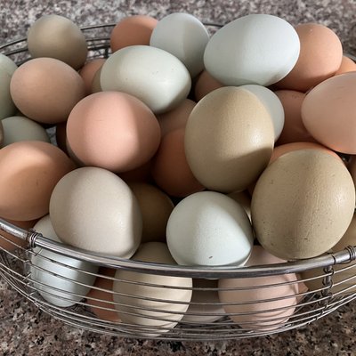 Farm-Fresh Eggs