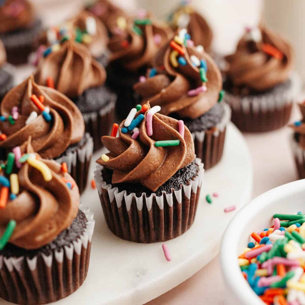 Mini cupcakes (dozen)