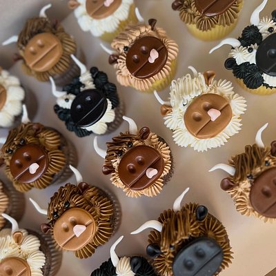 Custom Cupcakes- Dozen