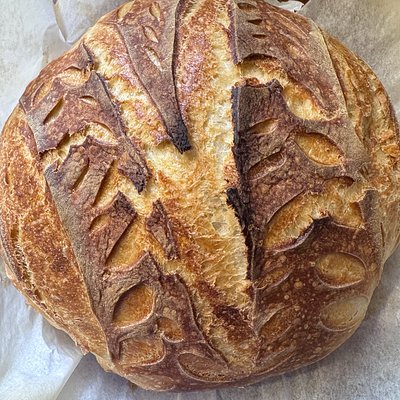 Traditional Artisan Sourdough Boule