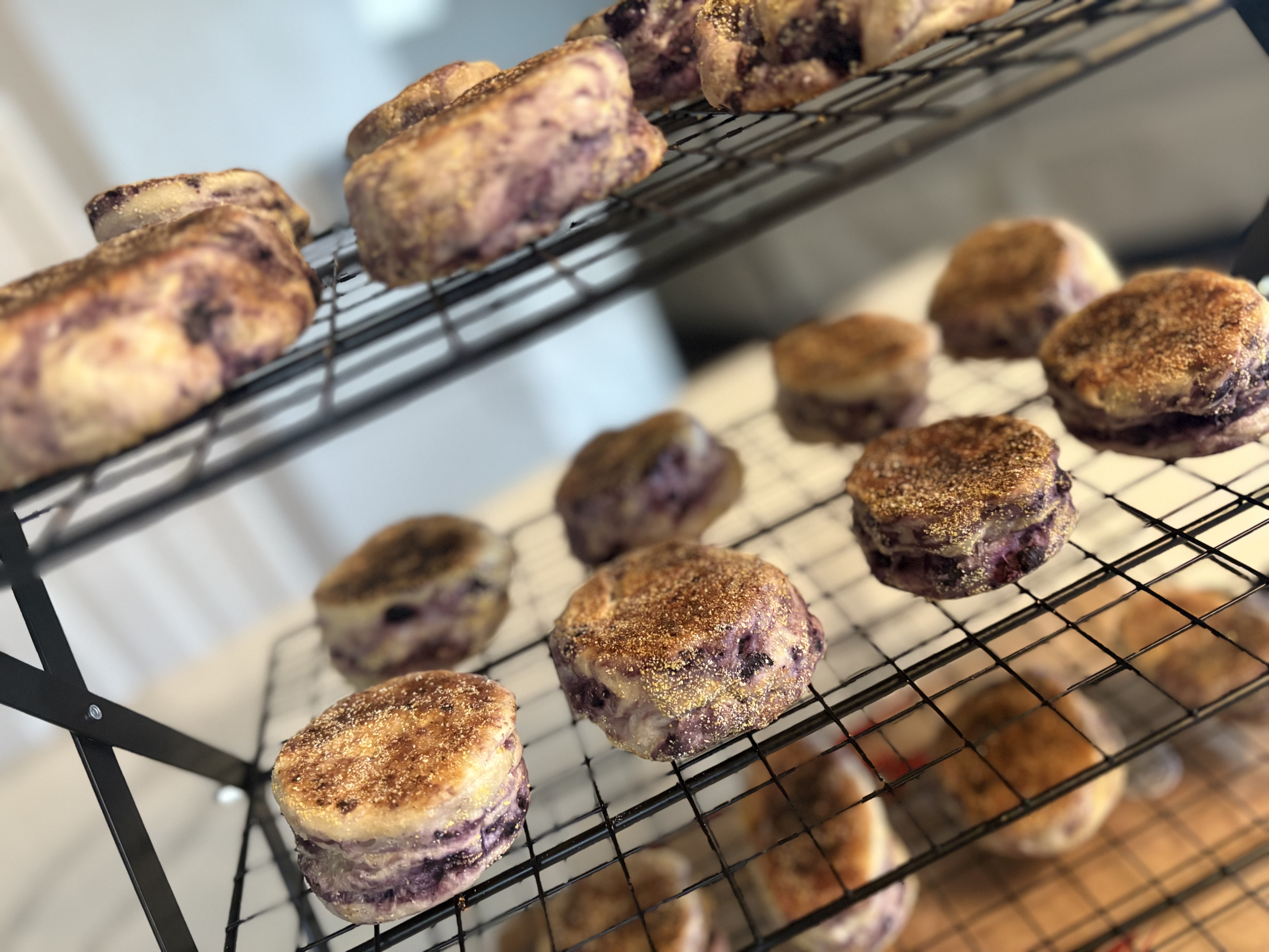 Blueberry English Muffins 🫐* 6 pack *