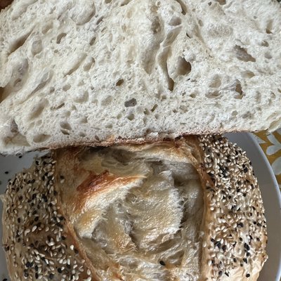 Sesame Seed