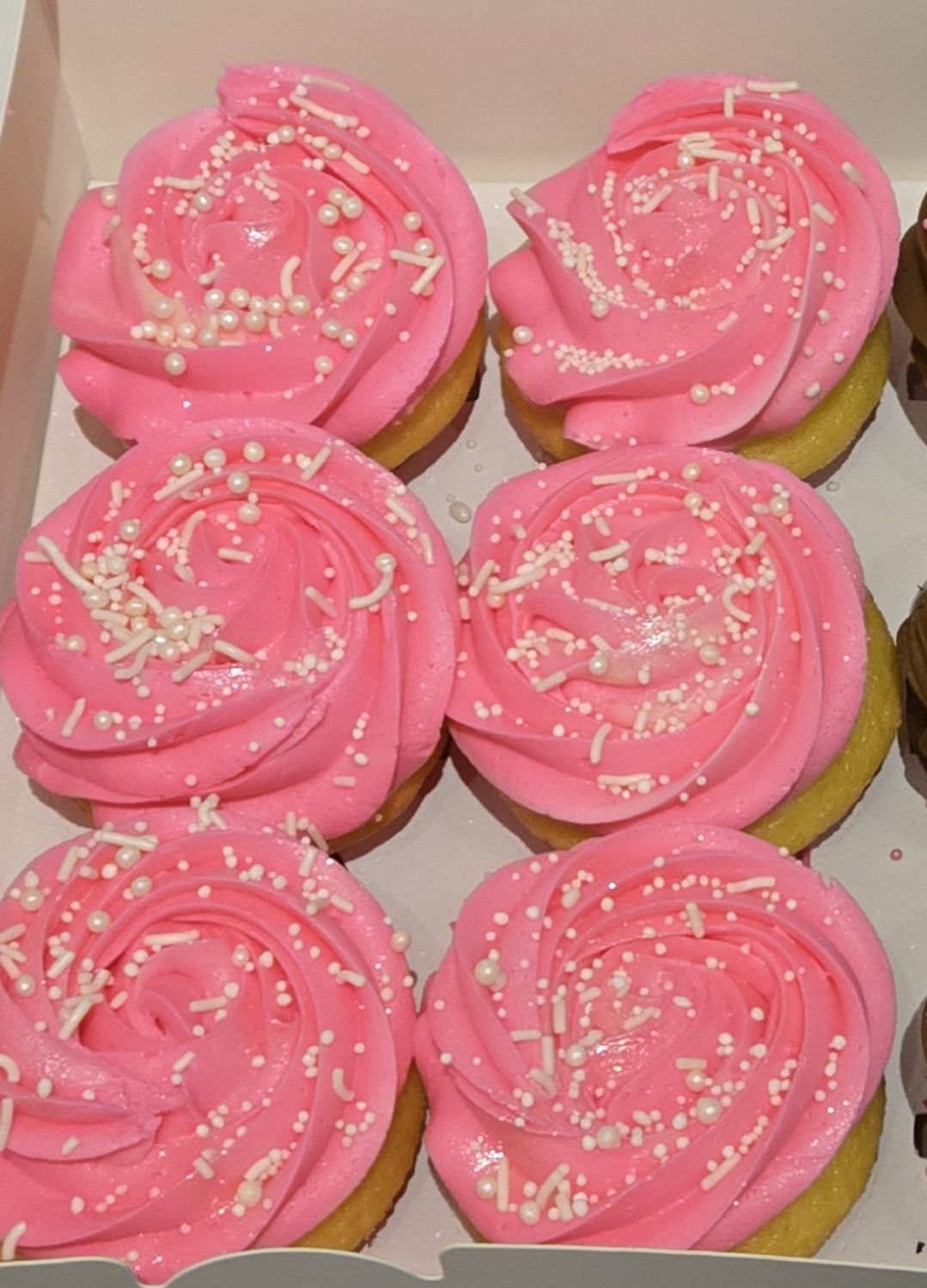 6 Count Cupcakes