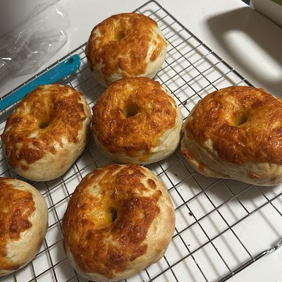Cheddar Sourdough Bagels 6 Pack