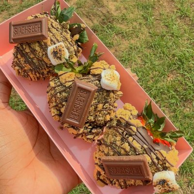 S’mores Chocolate Covered Strawberries