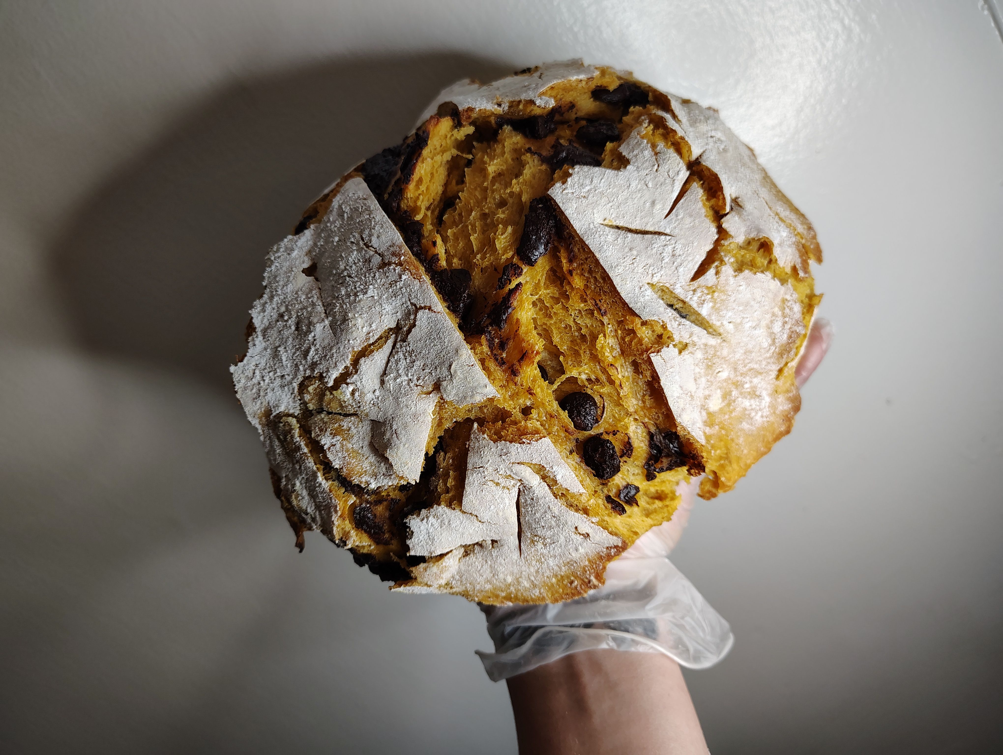 Pumpkin Chocolate Chip 