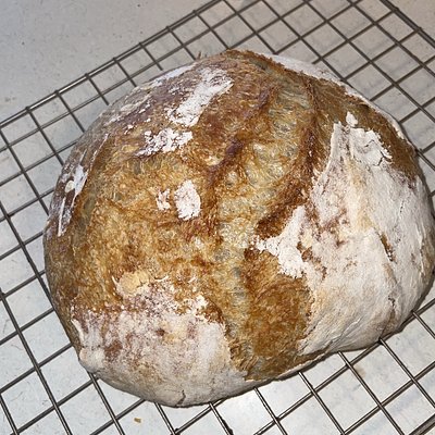 Original Artisan Bread