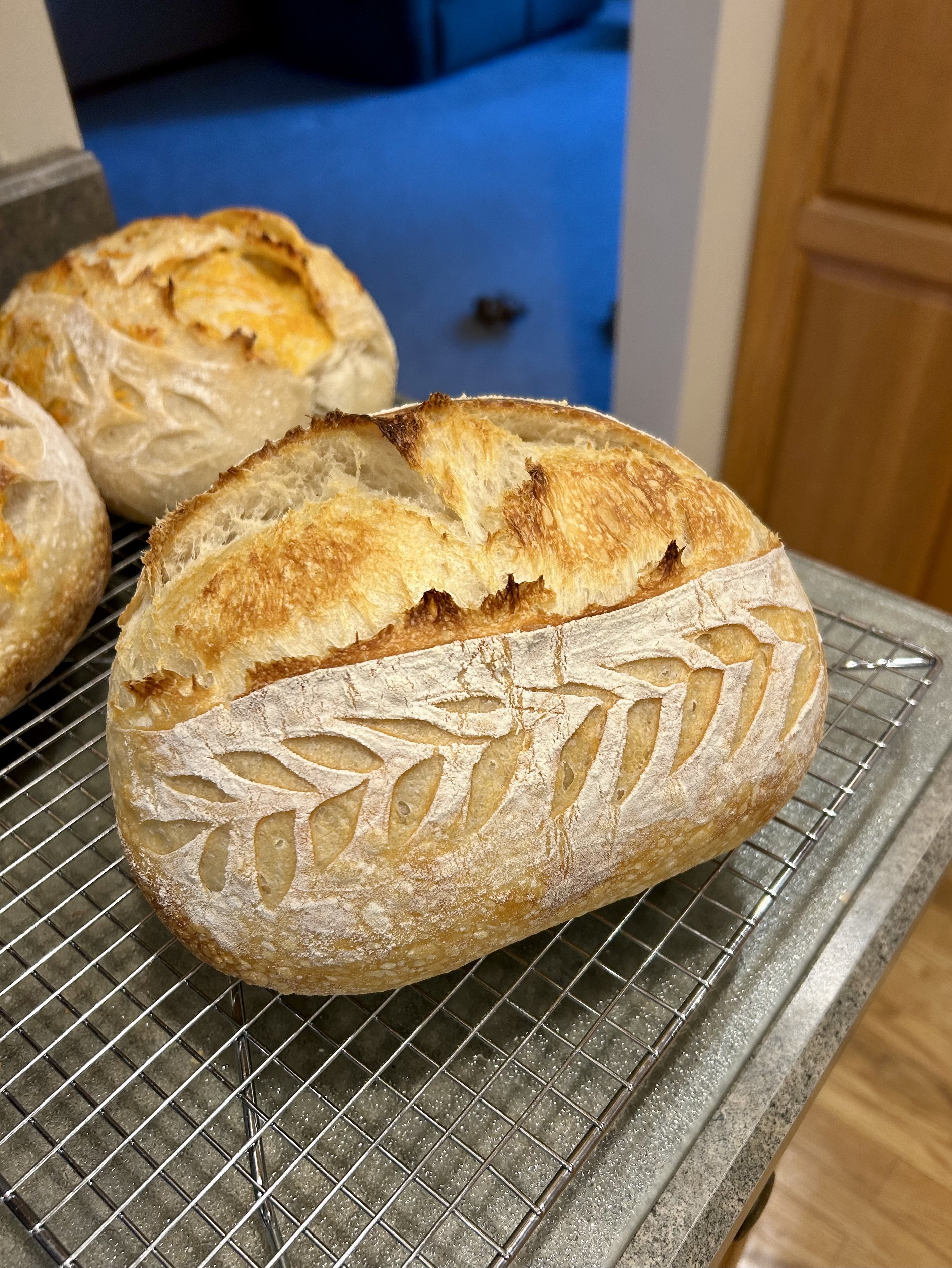 Sourdough Bread - Plain