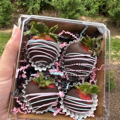 Chocolate Strawberries (4)