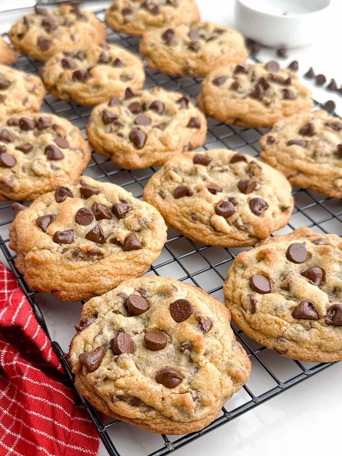 12 CT Chocolate Chip Cookies 