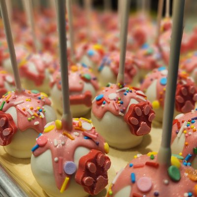 Cakepops - Standard Size