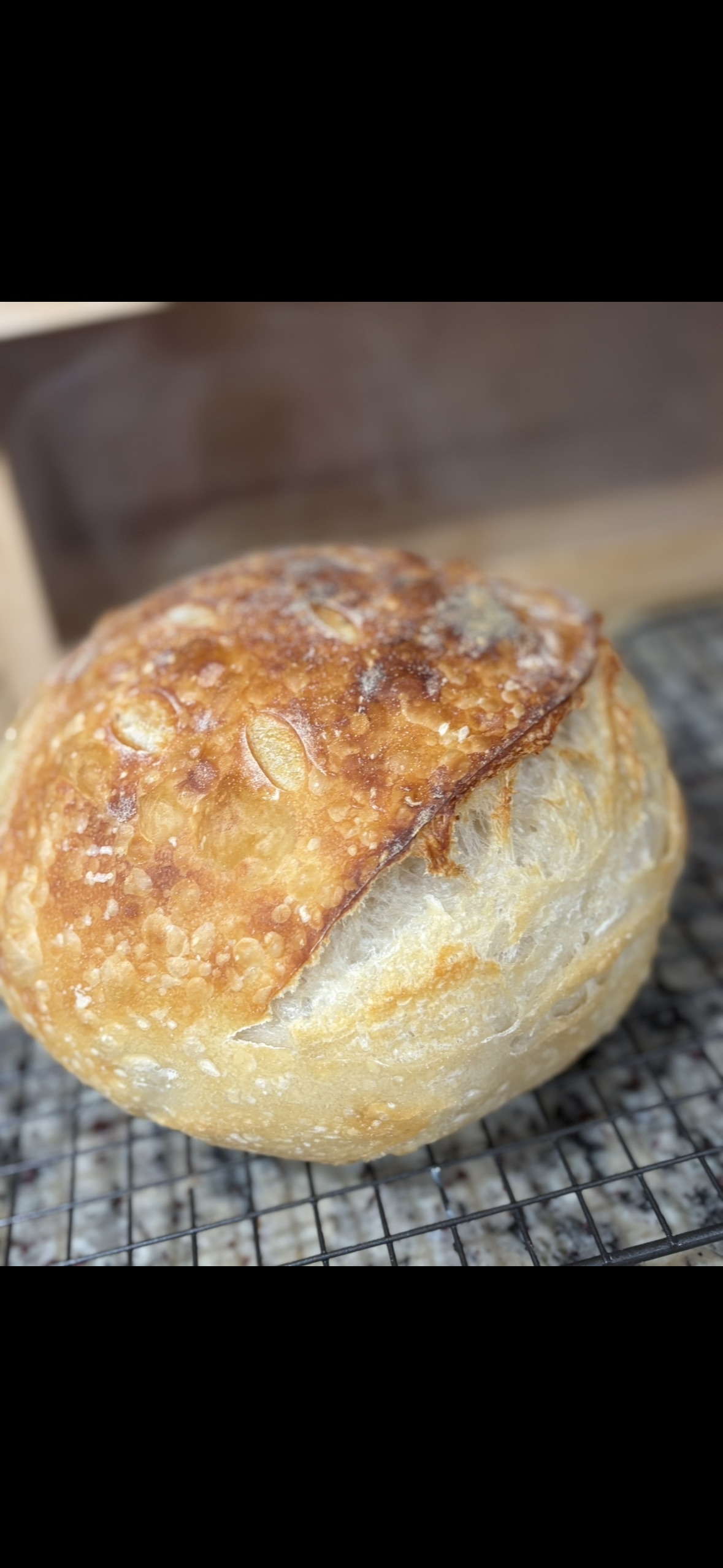 Sourdough Loaf