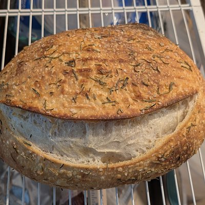 Rosemary Salt Sourdough