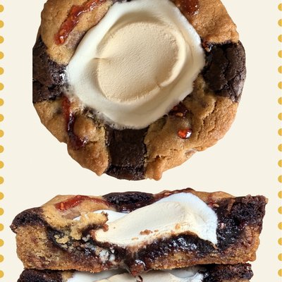 Wagon Wheel Brookie