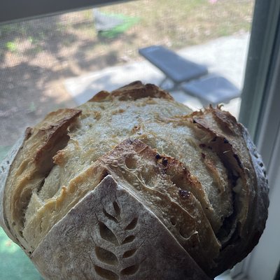 Goat Cheese and Herb Sourdough