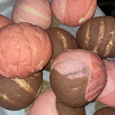 Medicated Conchas