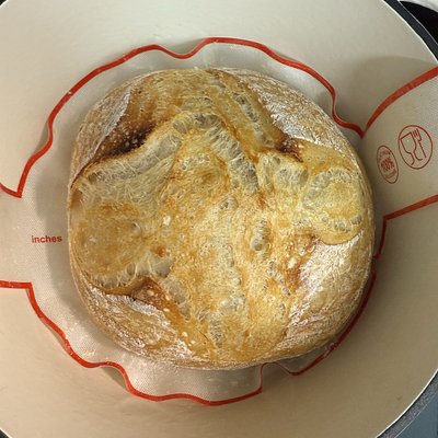 Plain Sourdough